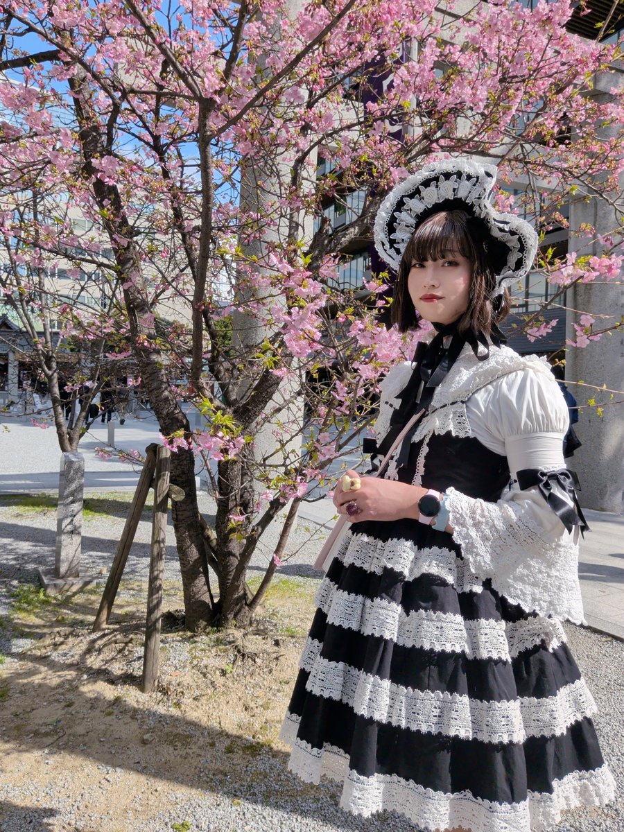 とんてきさんが警固神社の(たぶん)河津桜の前で撮ってくれた