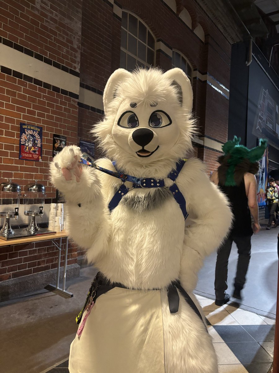 WolframLiu 一条欢 🔜 Pawske tweet media