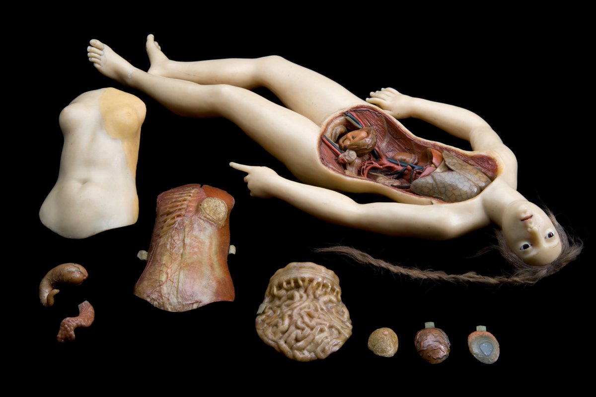Fascinate_Hist's tweet photo. Disassembled wax anatomical model of a woman, crafted in Italy around 1770-1800. https://t.co/hDHo9HfR39