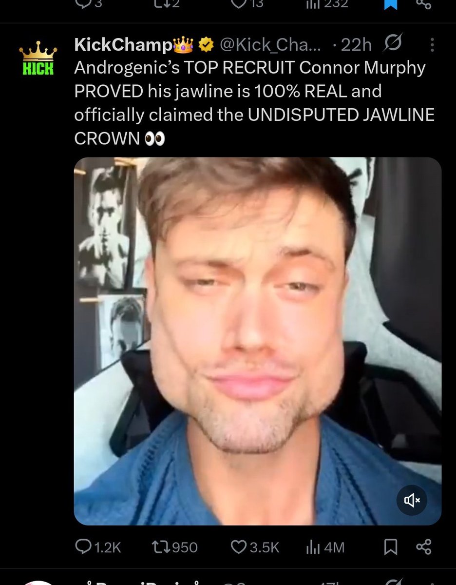 .˚⊹₊⚝˖ chase ˖⚝₊⊹˚. tweet media