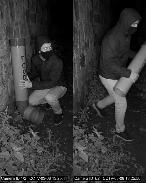 Scumbag steals feeding pipe for strays 😠.

What you are watching isn't vandalism; it is a calculated act of cruelty that deserves a prison sentence, not a warning.

It sounds dramatic, but seeing that man rip the pipes off the wall makes you want to give up on humanity.

Those