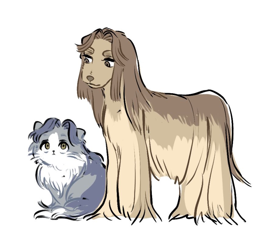 綾滝猫の日？ ※ケモ