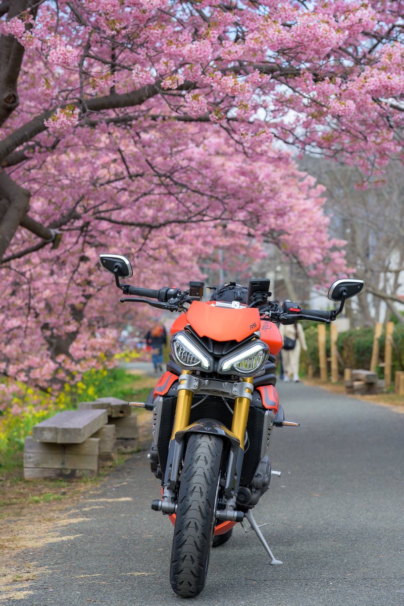 NOBU (@Nobu1200RS) / Posts / X