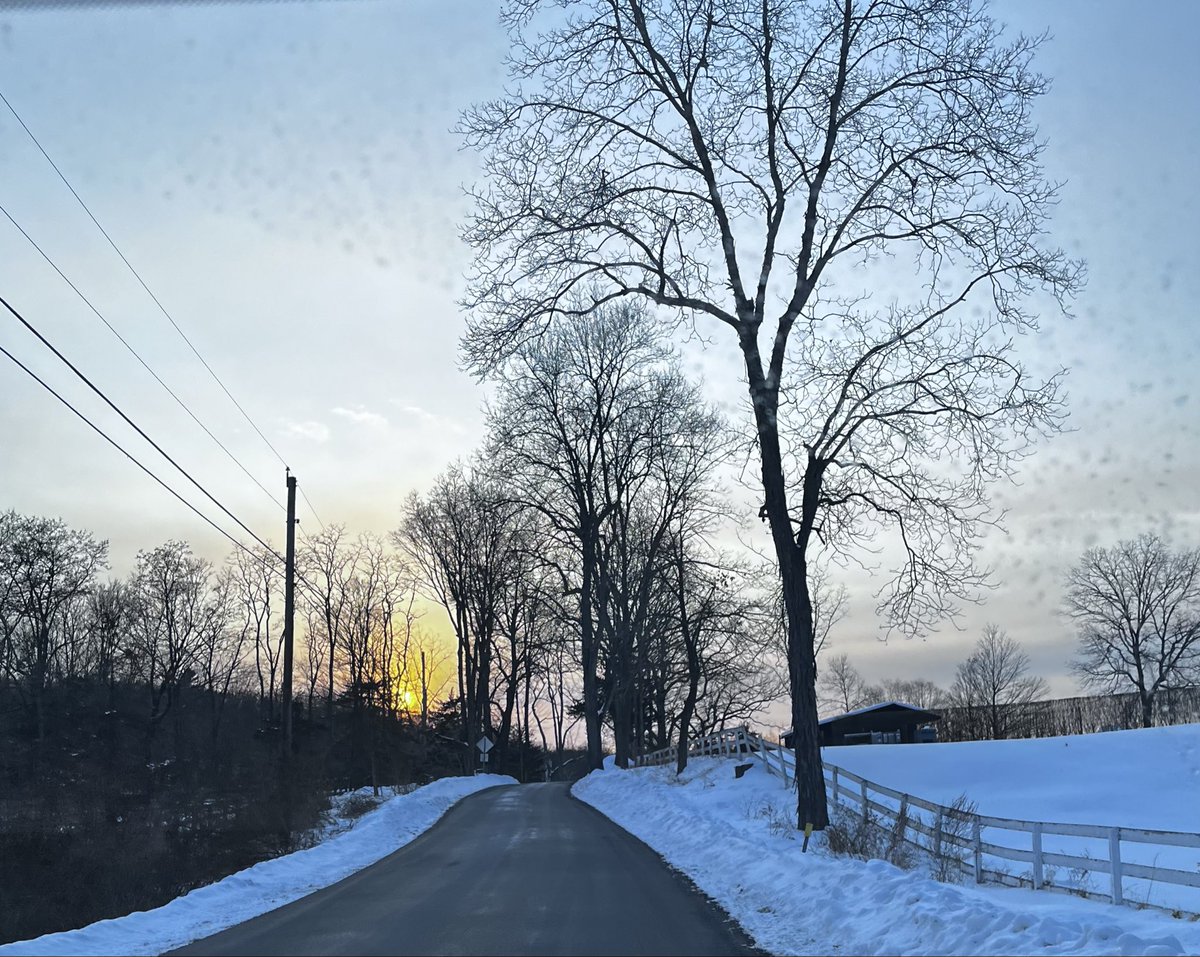 Xoch Rocks tweet media