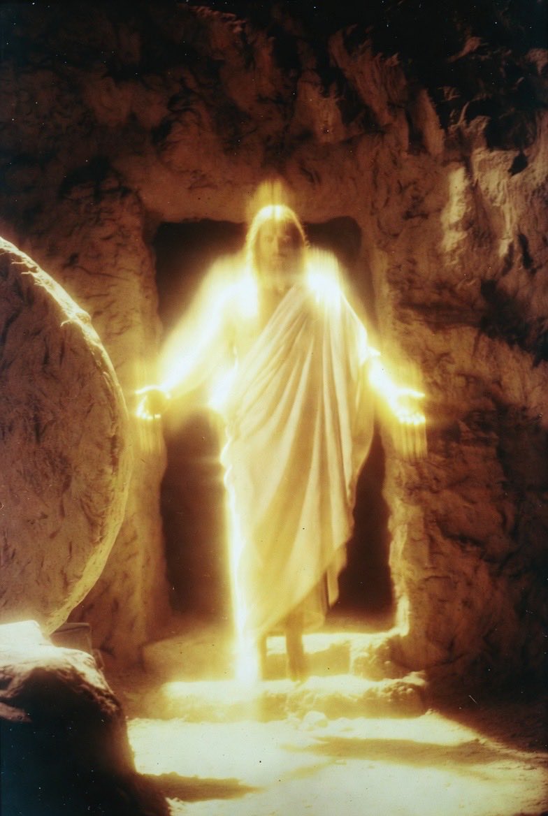 JESUS IS KING tweet media