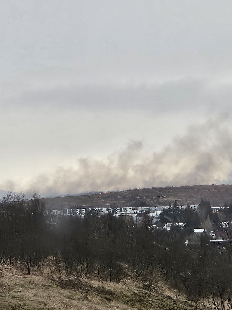 Daníel Freyr 🇺🇦 tweet media