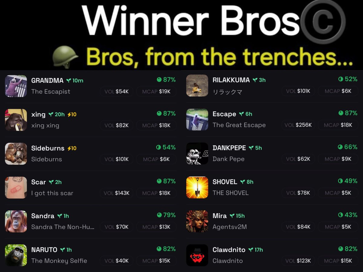 Winner Bros ©️ tweet media