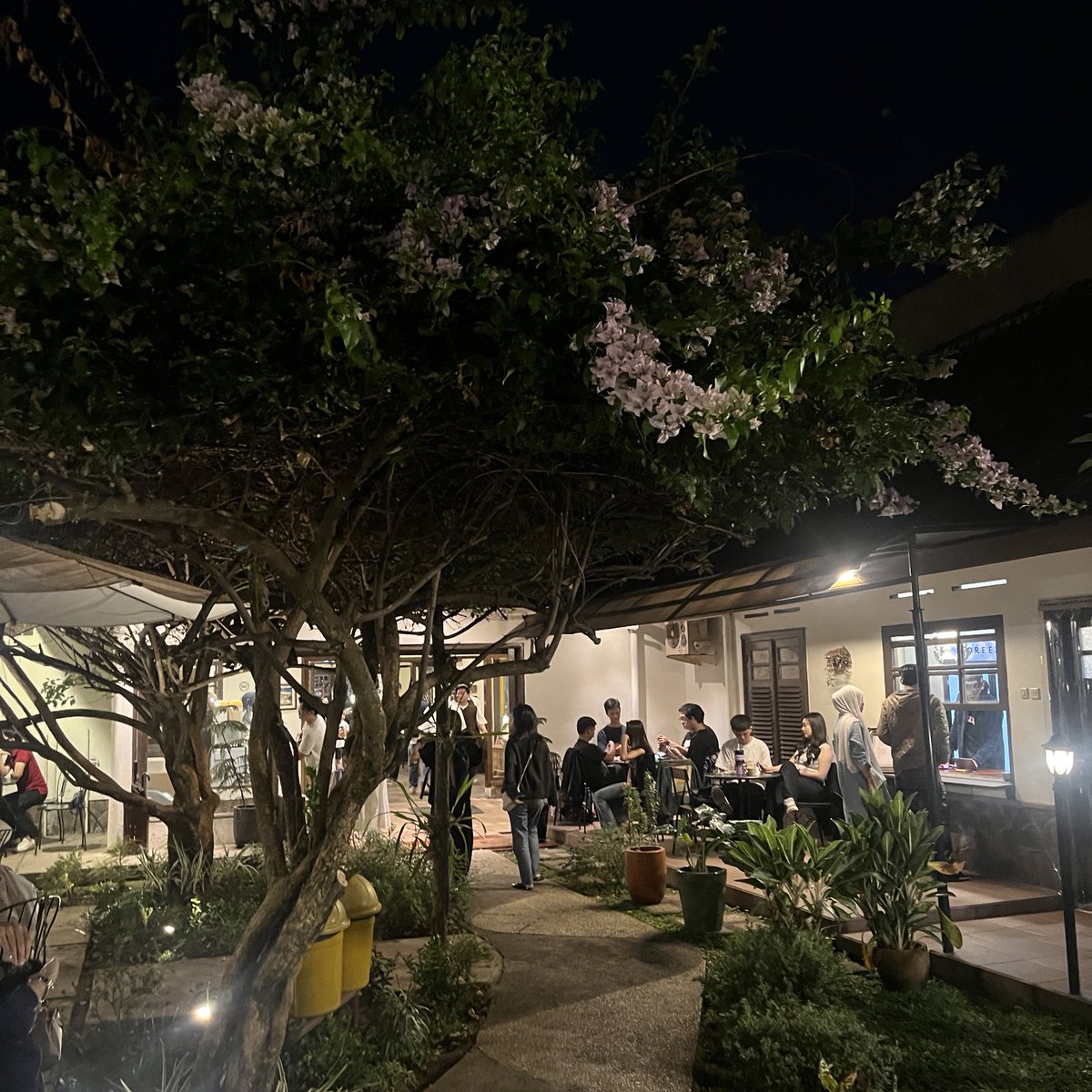 Ferinice tweet media