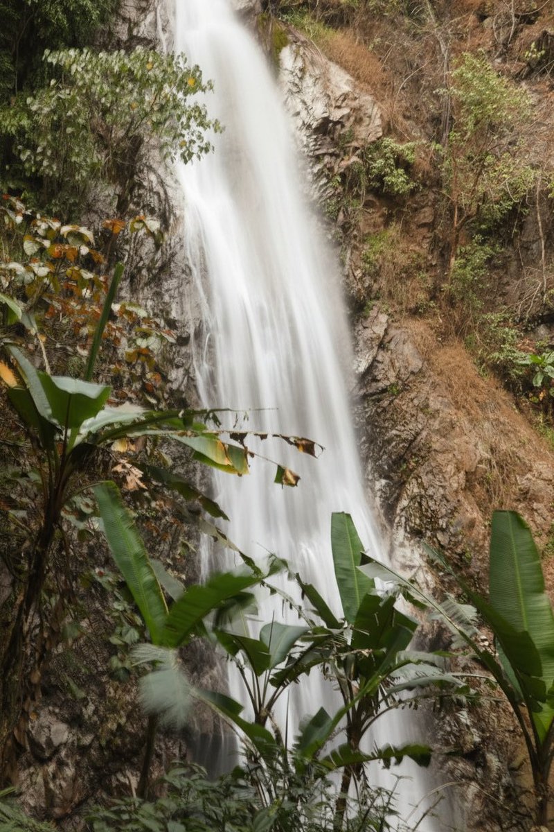 Dave's Travel Corner tweet media