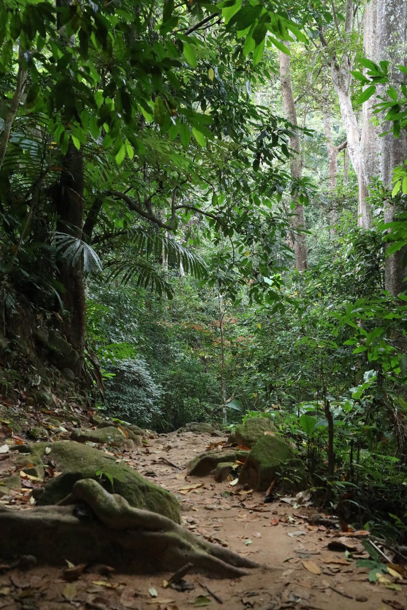 Dave's Travel Corner tweet media