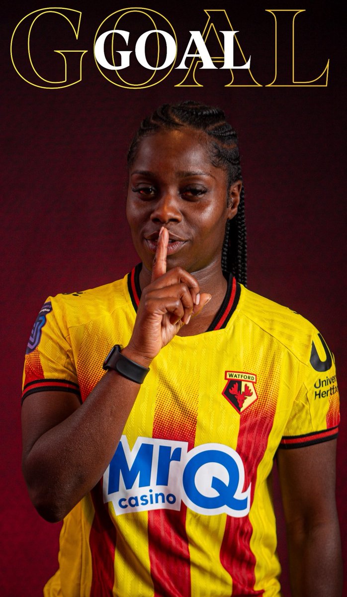 Jason Finegan tweet media