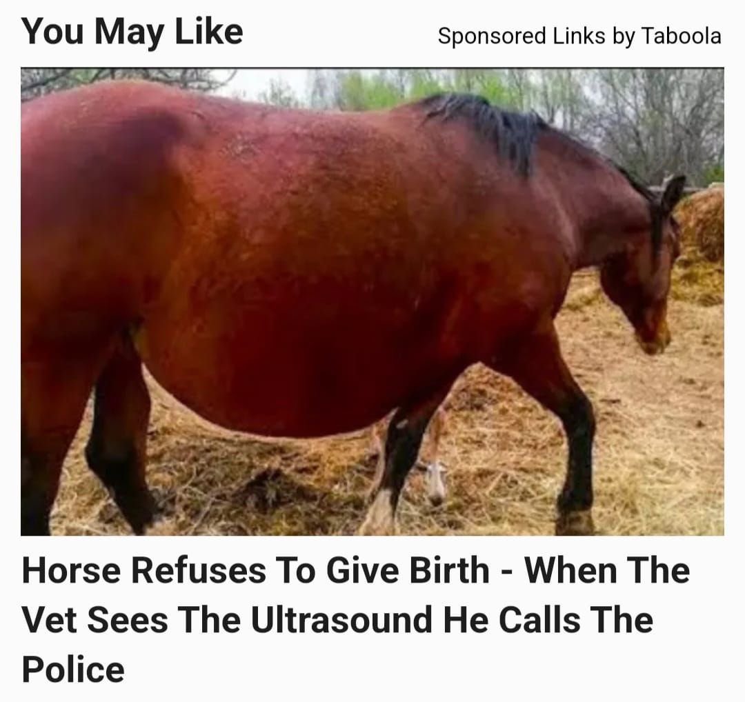 horse (@horseimage) on Twitter photo 