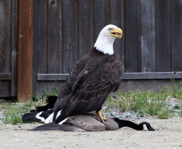 Defeating the evil empire.
1980                                         today