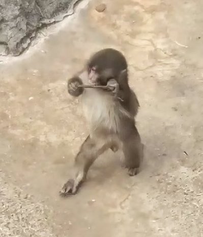 thedimitri's tweet photo. Everything is connected https://t.co/zbhh8Iqrdo