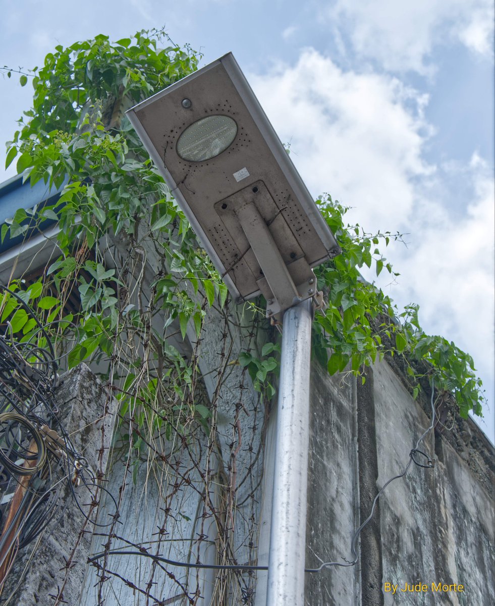 MorteJude's tweet photo. @DailyPicTheme2 DPT, here's 4 takes on a #lightFixture (actually a #lamppost ) somewhere in #QuezonCity , #Philippines 🇵🇭
Enjoy 🌃🌇
#NightAndDay #fujifilmxm5 #DailyPictureTheme #urban #SpotTheDifferences #street https://t.co/853QjWtG2T