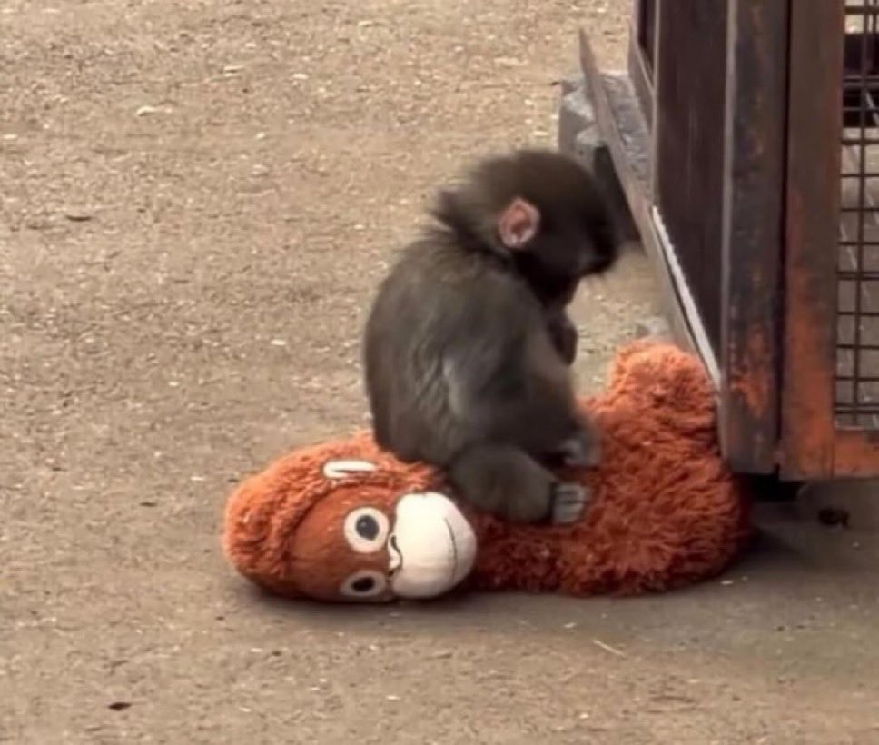 Eric Nathan tweet media