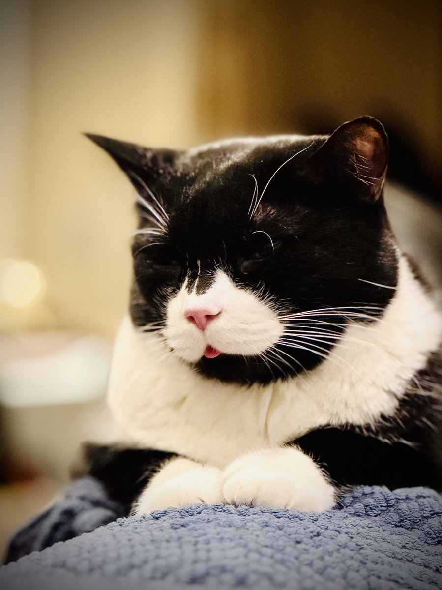 Rahul Pathak tweet media