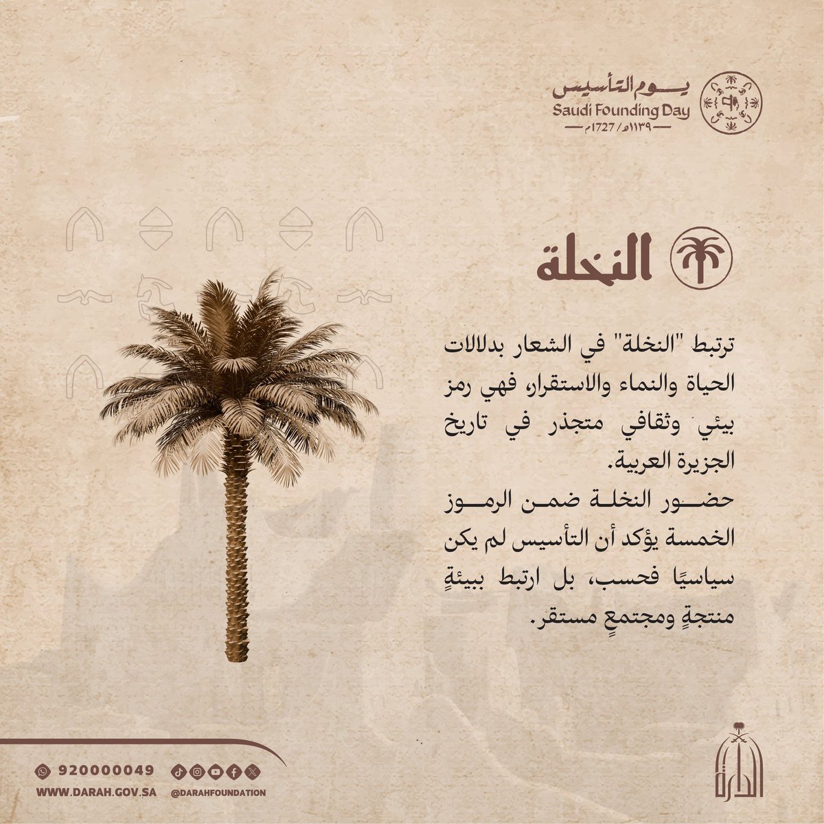 ﮼وارِفَة tweet media