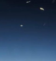 Gabi Yankelevich, DO tweet media