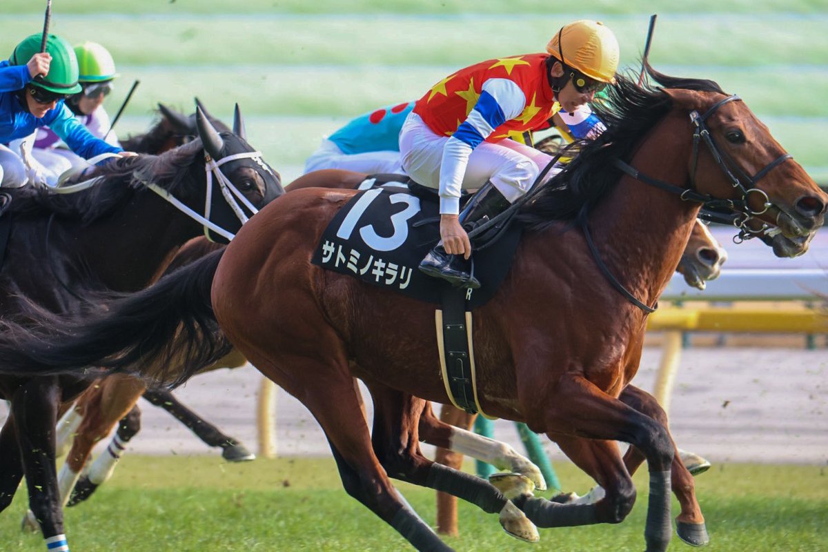 横山典弘騎手お誕生日おめでとうございます！！ 🎂🎉 今年も健康で笑顔溢れる1年になりますように願っております✨️ #横山典弘生誕祭2026