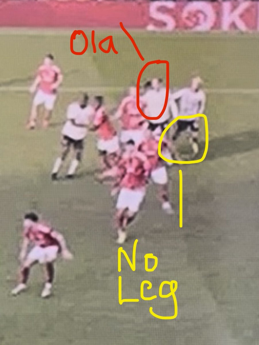 ForestFanFamily ⭐️⭐️ tweet media