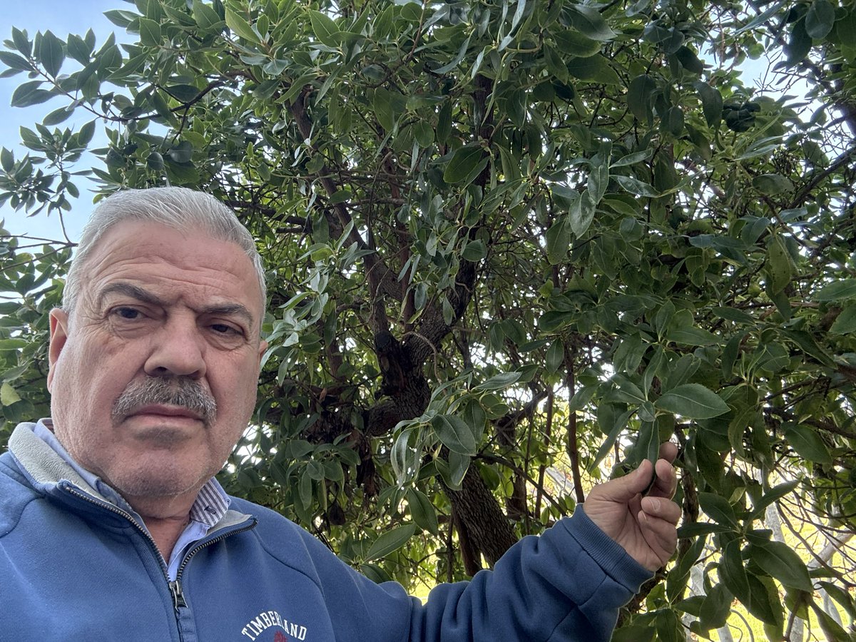 Luis Pacheco Torres tweet media