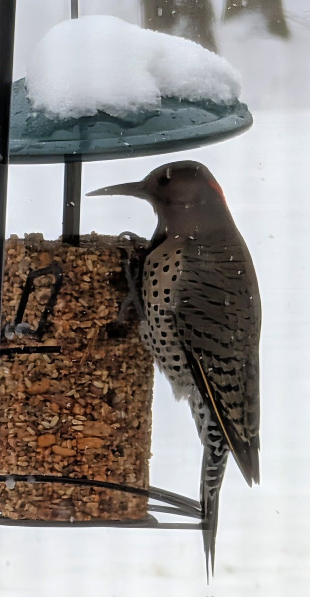 Creative Mitch tweet media