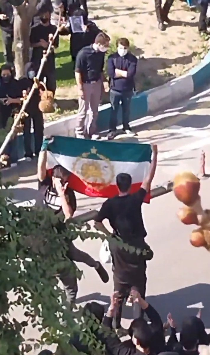 اَبؤآلاء 🌷 tweet media