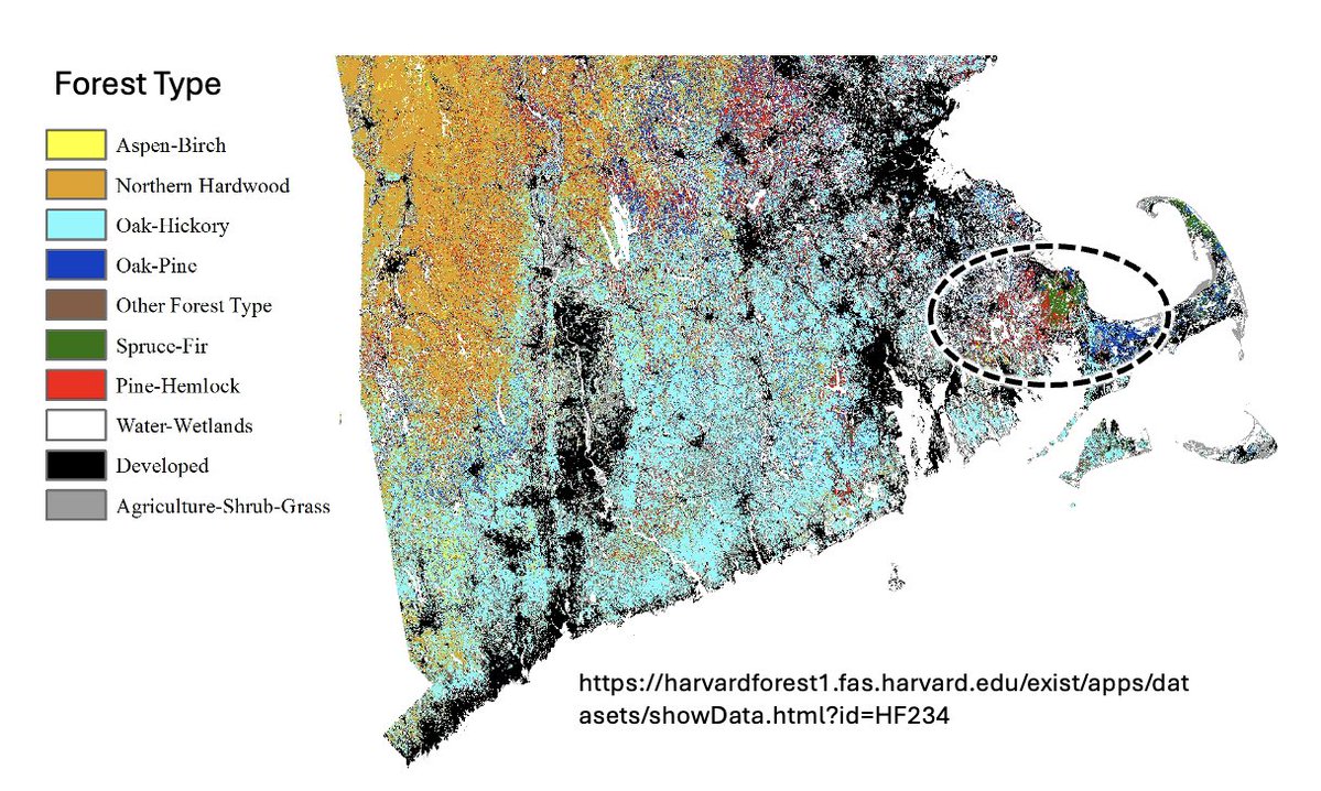 This corner of SE Mass is particularly vulnerable to power outages associated with heavy snow and strong winds given the extensive pine forest composition.