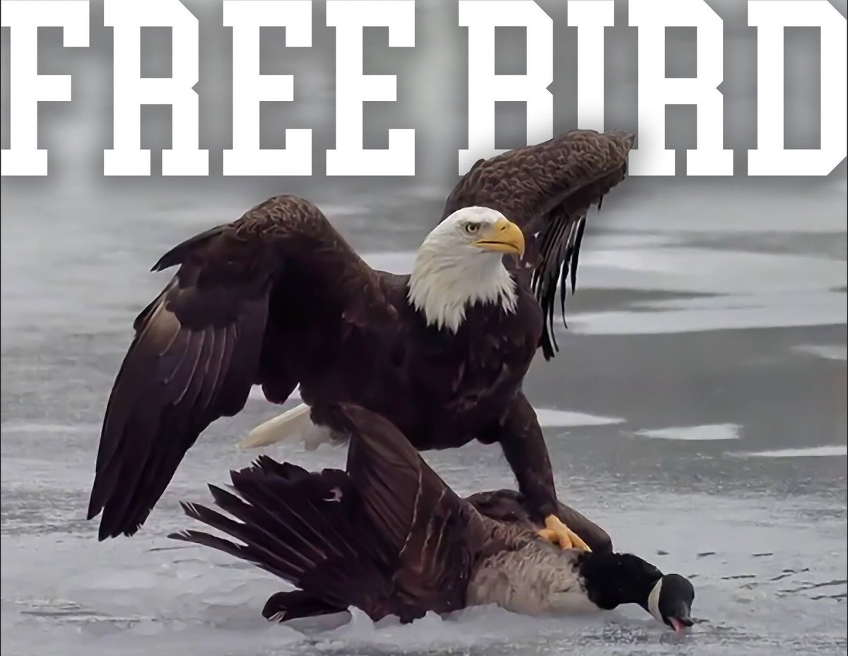 USA!!!🇺🇸