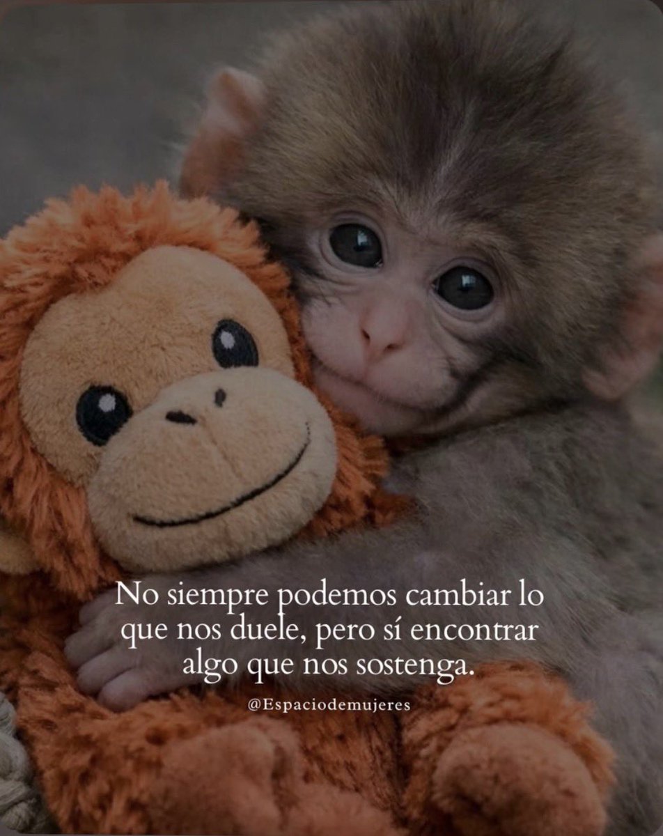 CARPE DIEM (@carpe_d1em11) on Twitter photo 