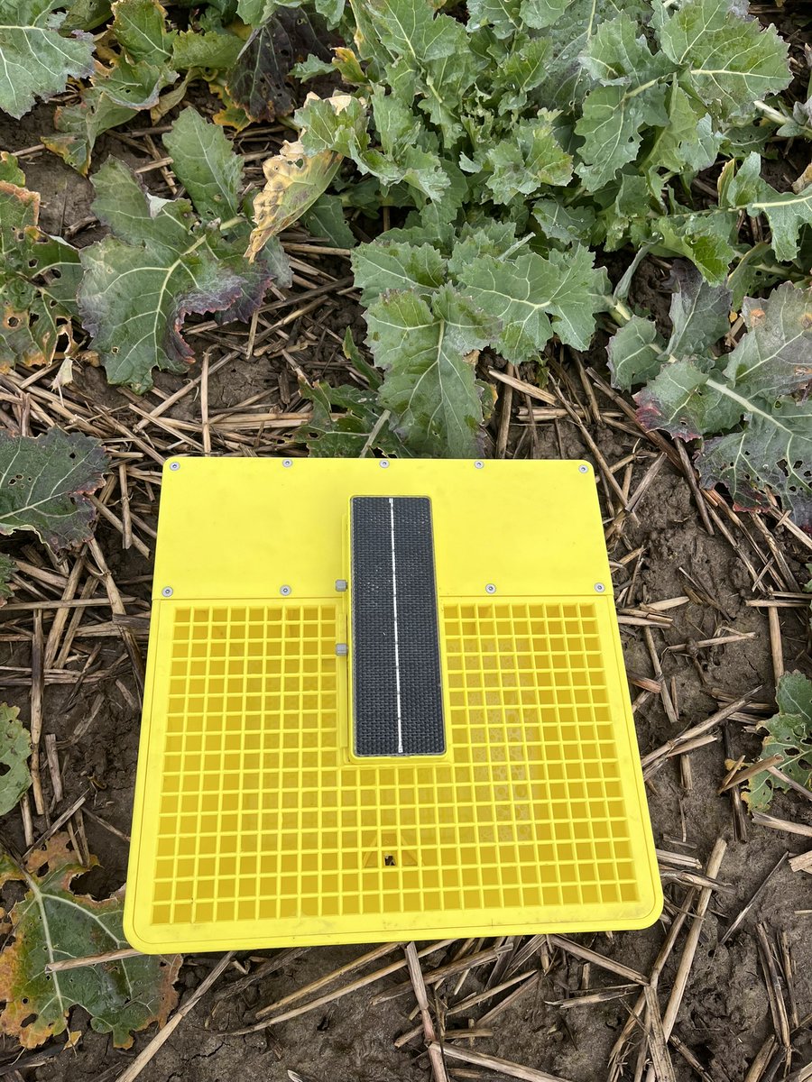 Andreas Indermühle tweet media