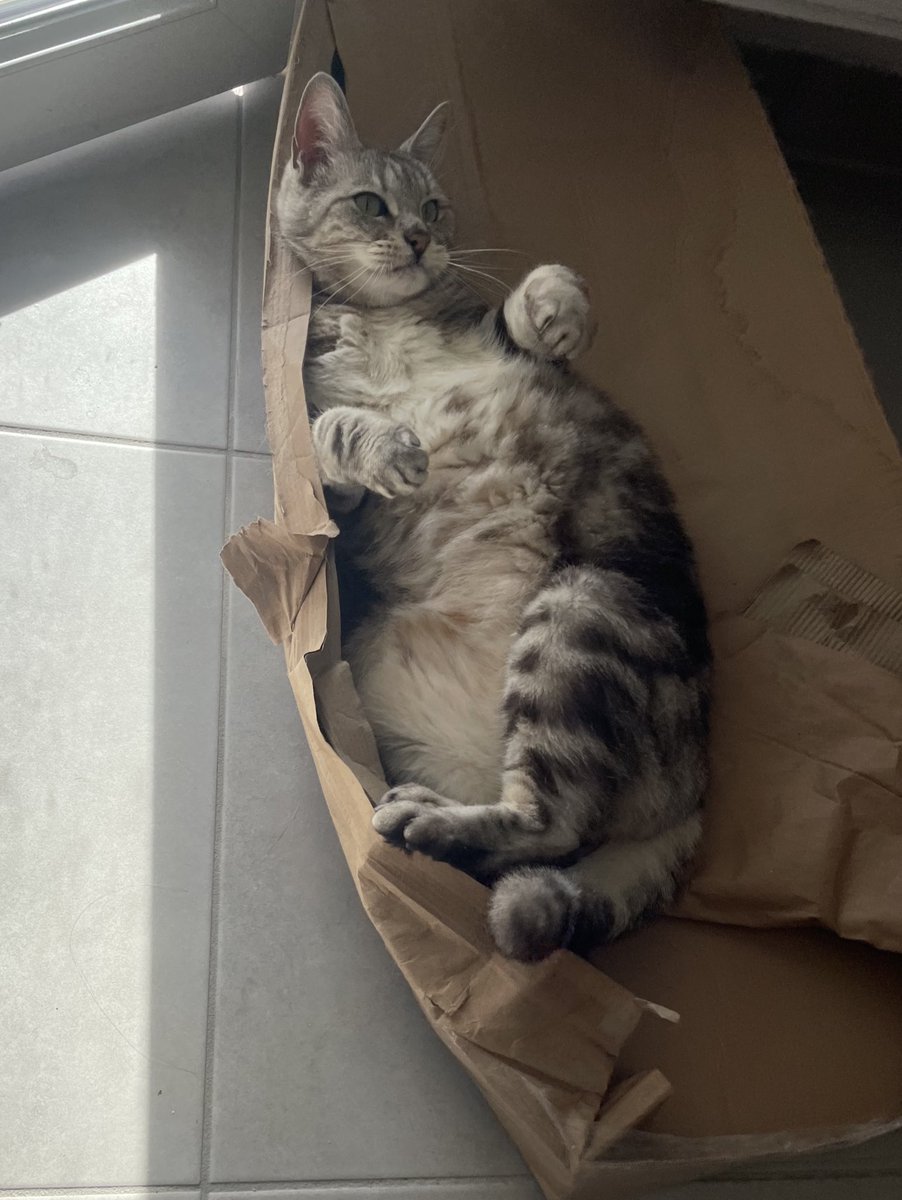 Tu t’es transformée en loutre fufu ?