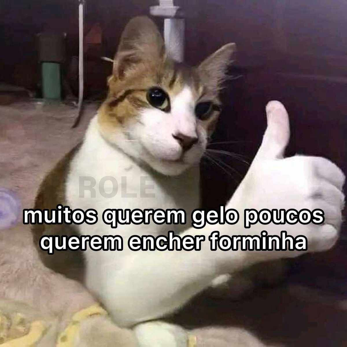 Rolê Aleatório tweet media