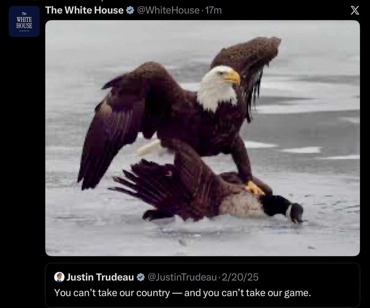 Hang it in the Louvre…