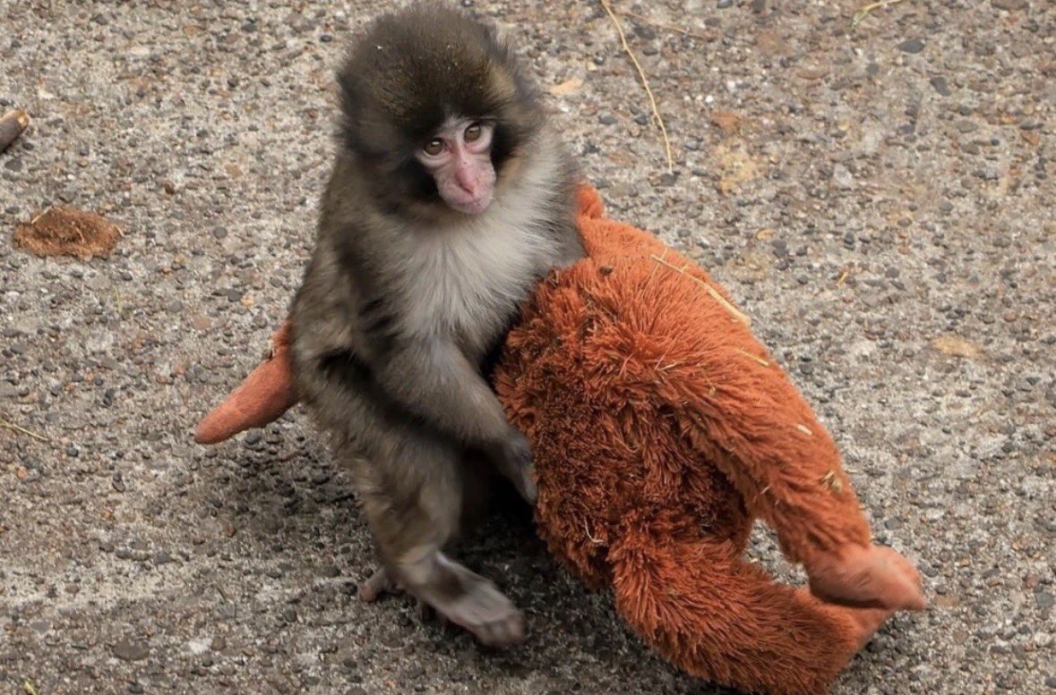 Lauren Hunter tweet media