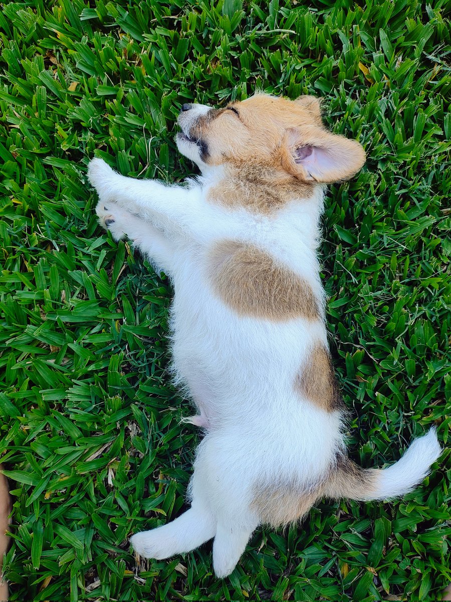 La concha de mi madre mira esto