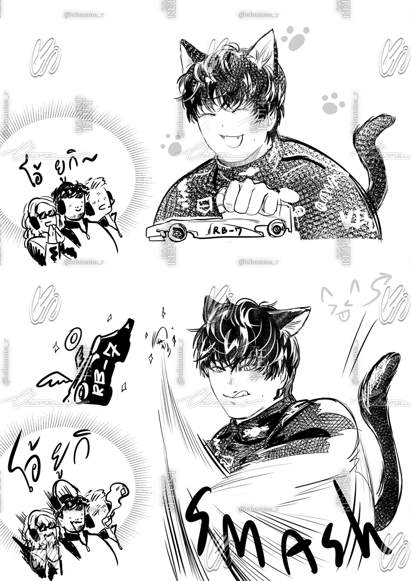 วันแมว YT22