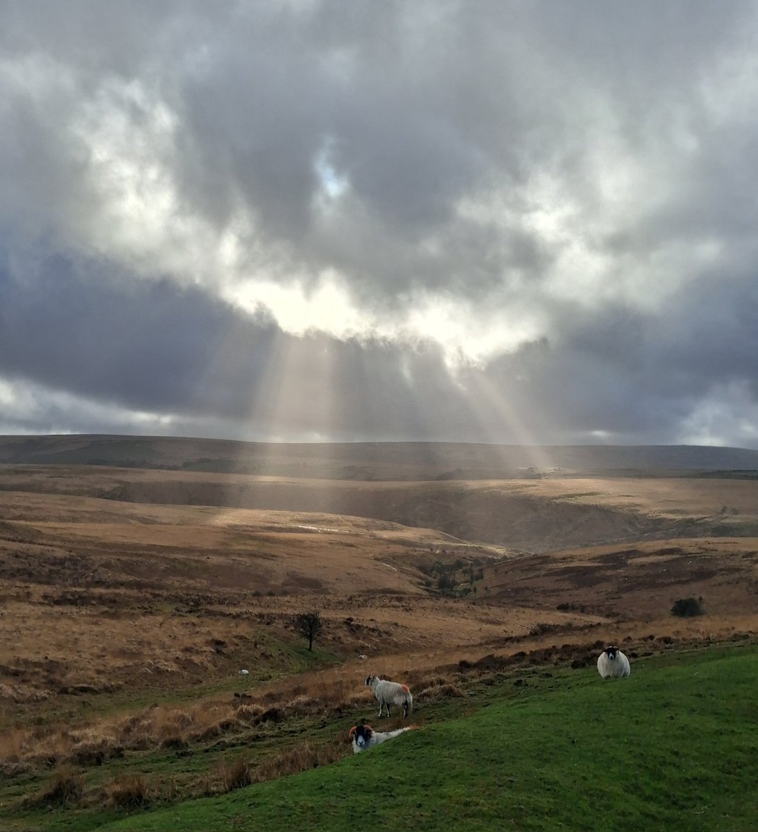 Ex-Fedupcivvy tweet media