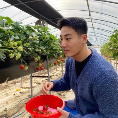 Zheng yuan tweet media