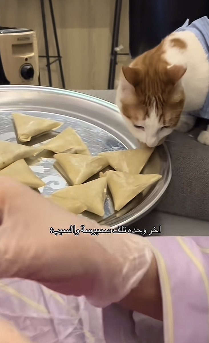 نون | Nada tweet media