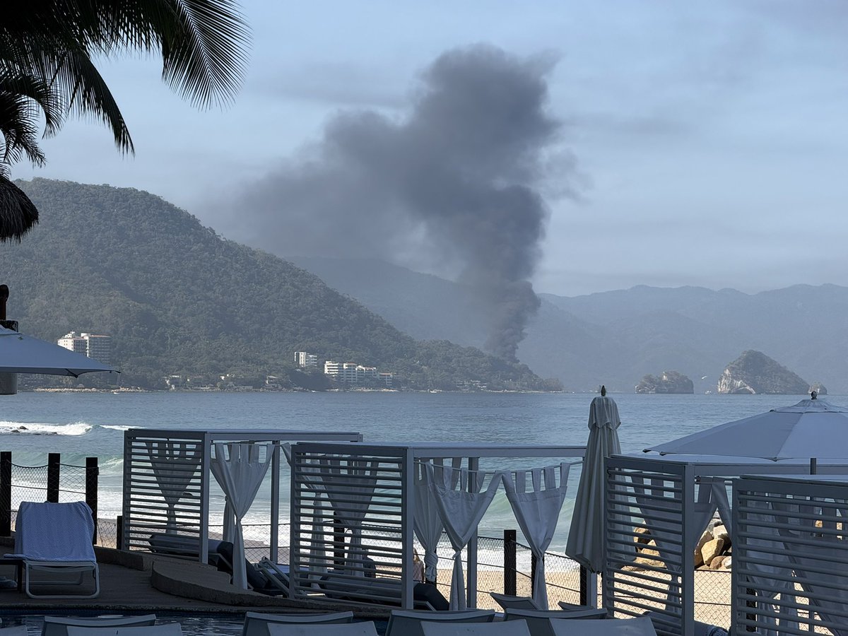 Beard Vet tweet media