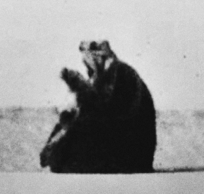 SAUDI POPULAR tweet media