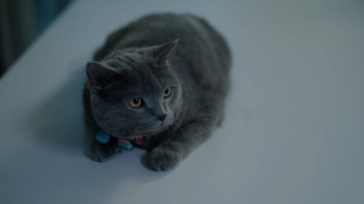 Go2infinity tweet media