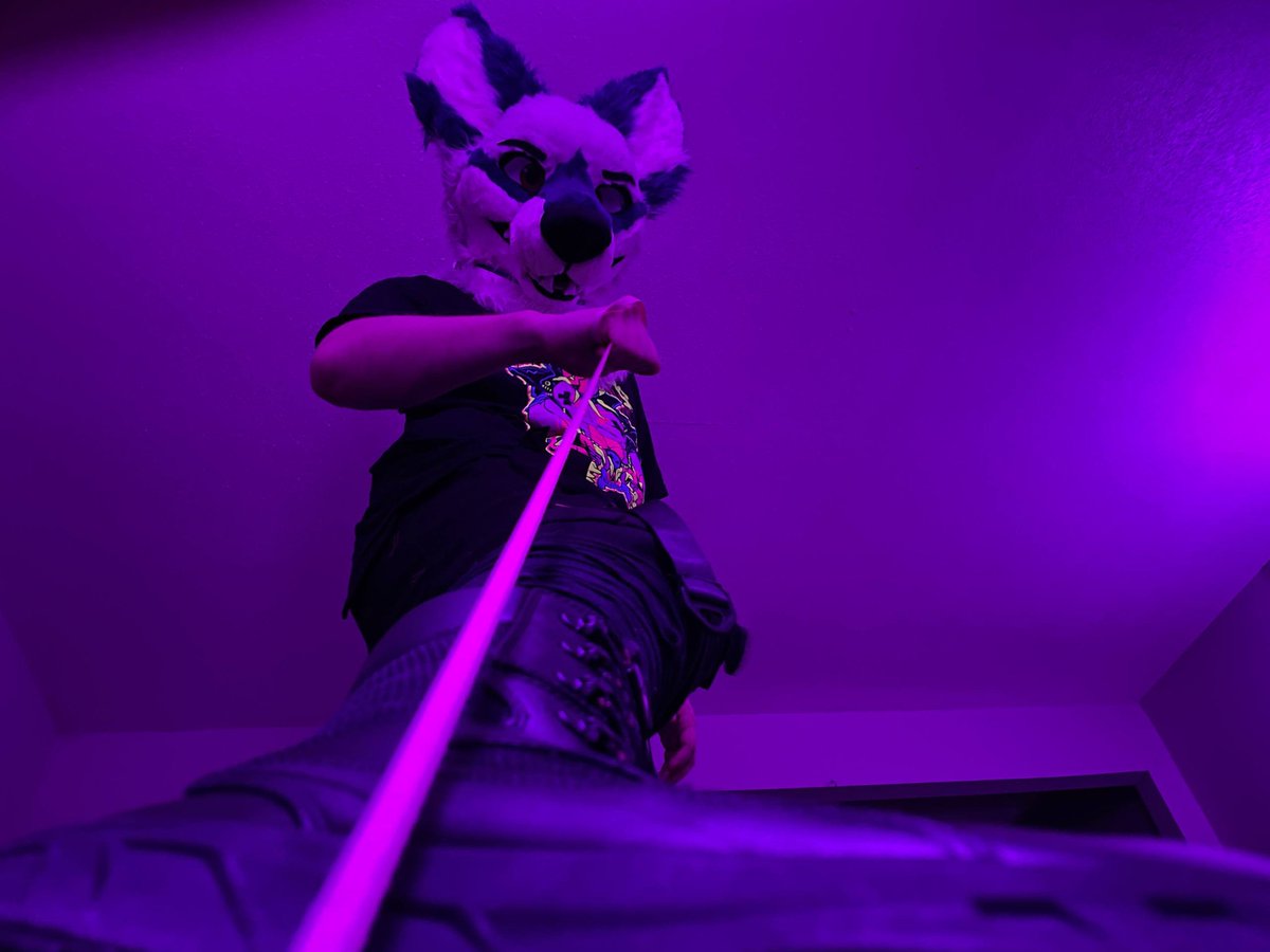 💜 NoonWuff 💜 🔜FWA (@noonthewolf) on Twitter photo 