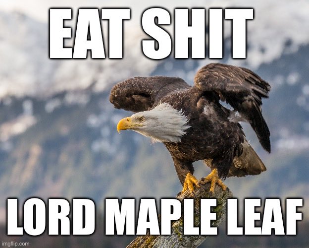 The oldest and greatest country on earth proves its superiority again