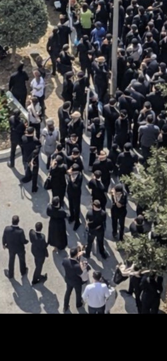 Fatmim🪼 tweet media