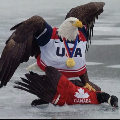 johnnywo tweet media