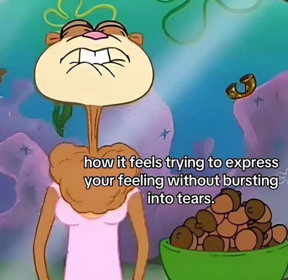 ✧ (@northstardoll) on Twitter photo 