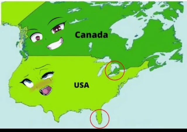 Neosavic tweet media